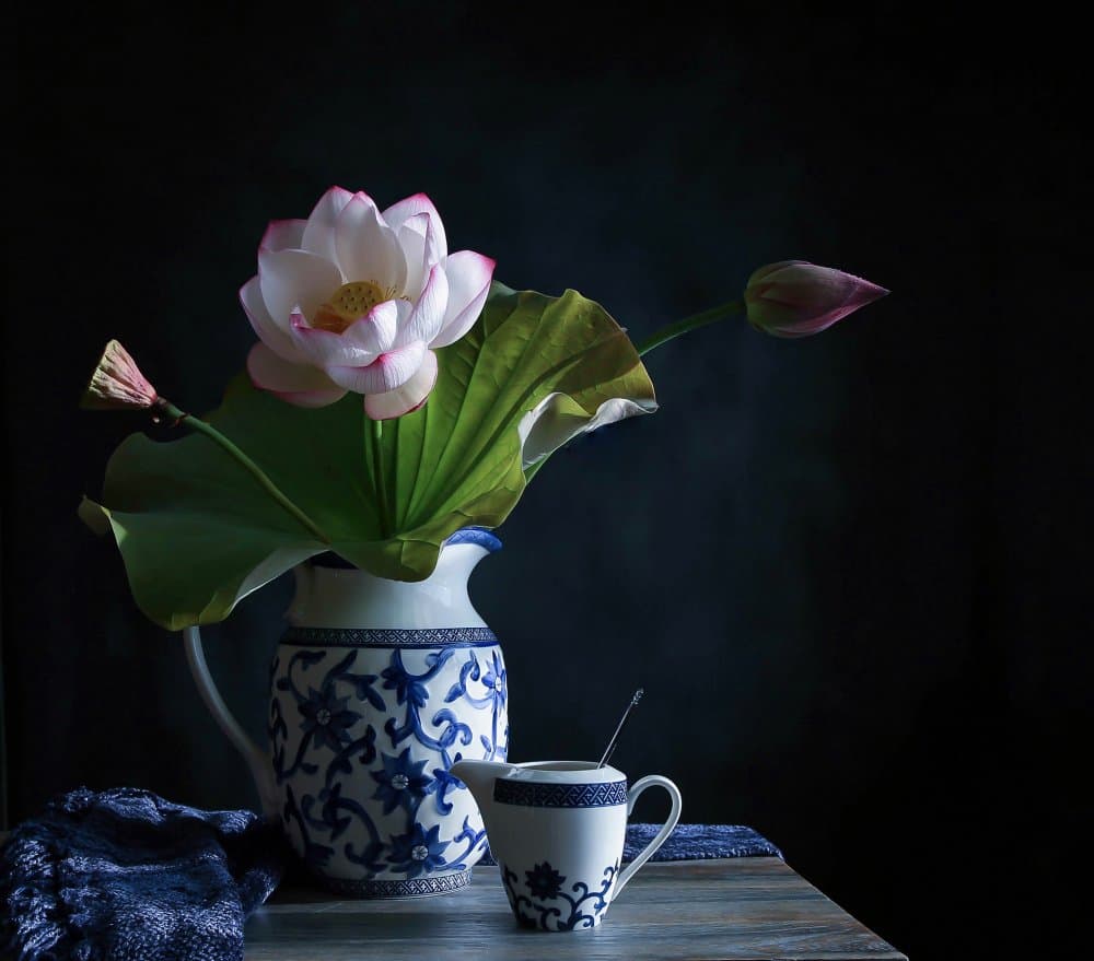 Serene Lotus Arrangement by Fangping Zhou — canvas wall art