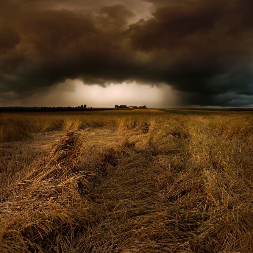 Storm Over Golden Fields by Nicolas Schumacher — canvas wall art