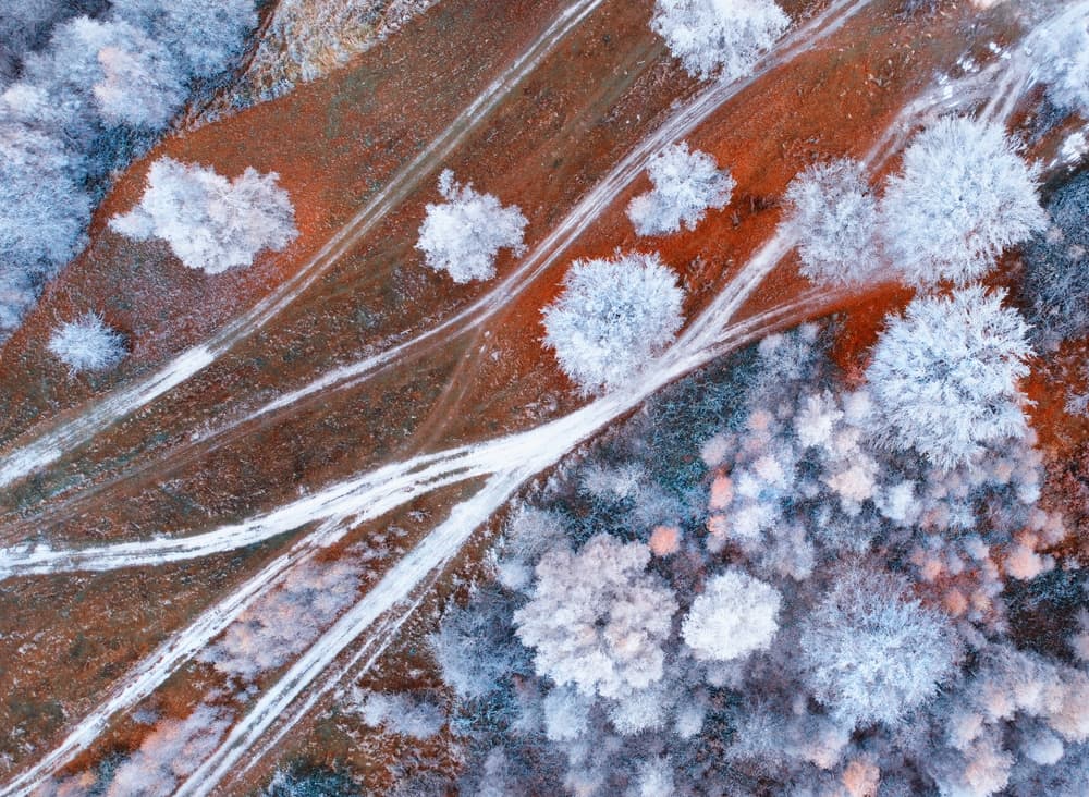 Aerial Frosty Winter Paths by Mihai Bogdan R — canvas wall art