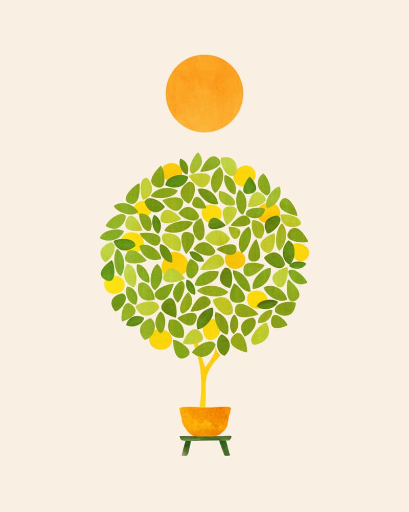 Sunshine and Lemons 4x5 by Kristian Gallagher — canvas wall art