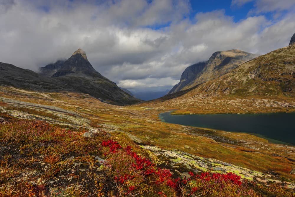 Vibrant Mountain Valley by Rune Askeland — canvas wall art