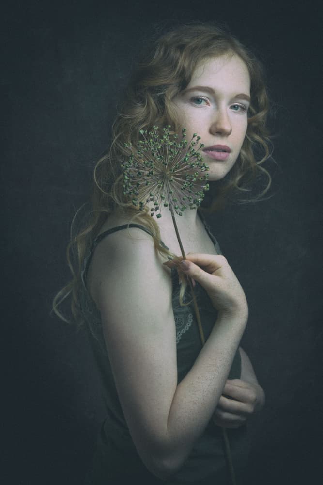 Delicate Allium Portrait by Ruth Franke — canvas wall art