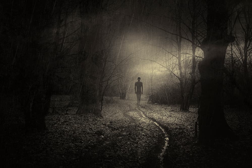 Lone Figure Dark Forest by PhotoCosma — canvas wall art