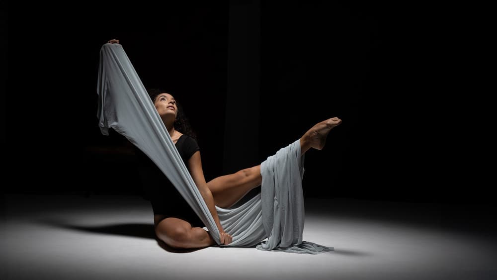 Graceful Fabric Dancer by Joan Gil Raga — canvas wall art