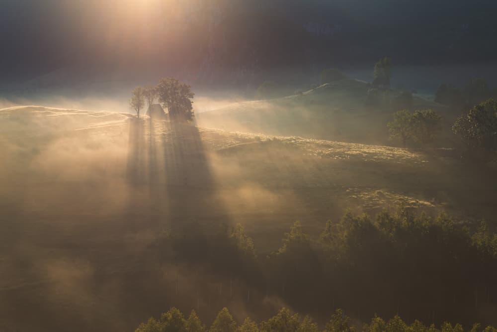 Golden Morning Mist by Alexandru Ionut Coman — canvas wall art