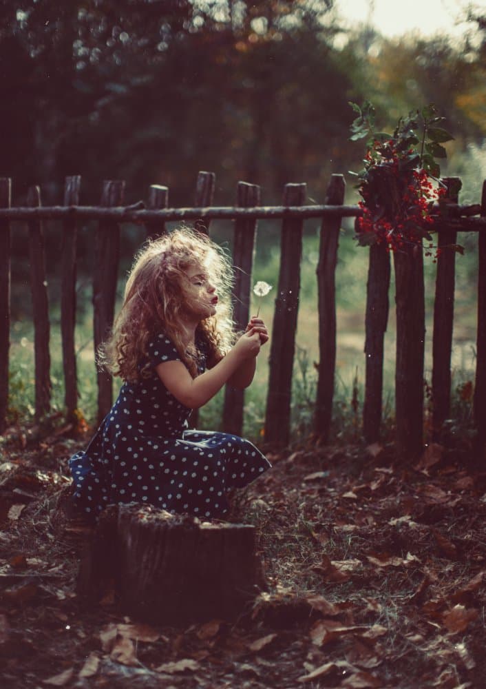 Child's Dandelion Wish by Koki Jovanovic — canvas wall art