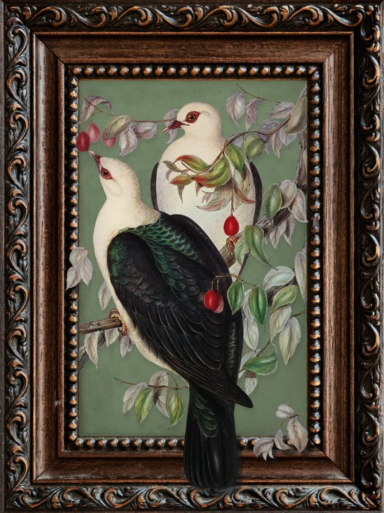 White Doves Berry Branch by Marja van den Hurk — canvas wall art