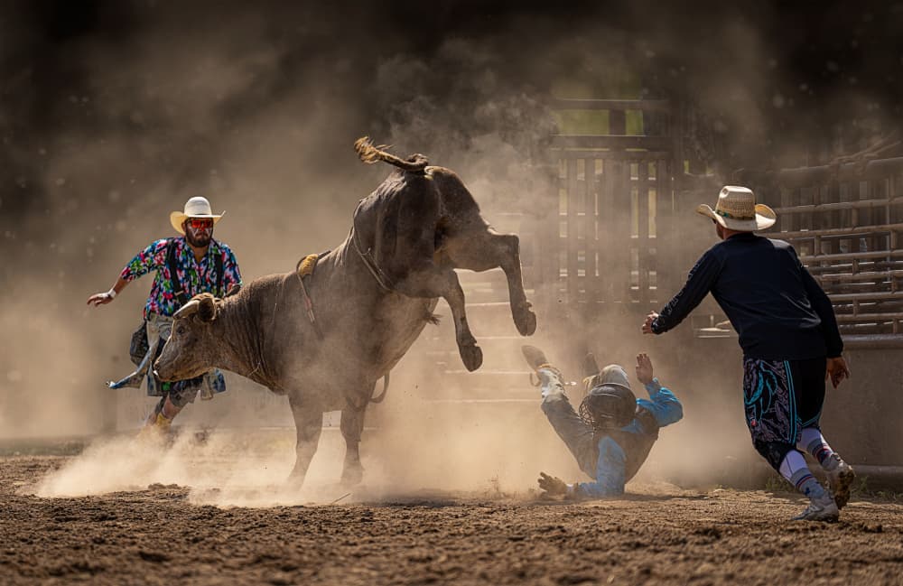 Rodeo Bull Riding Action by Lydia Jacobs — canvas wall art