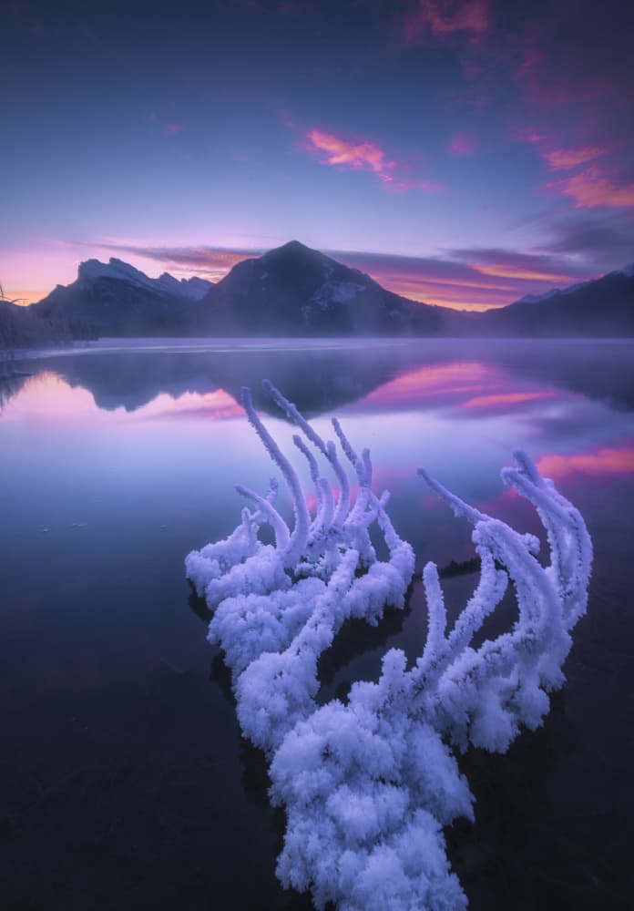 Frosted Lake Twilight by Jenny L. Zhang — canvas wall art