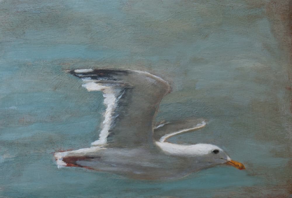 Soaring Seagull by Claire Lerner — canvas wall art