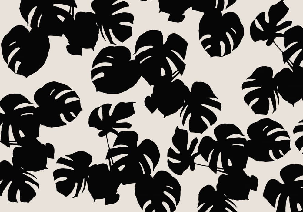 Tropical Monstera Leaves by Pictufy Studio II — canvas wall art