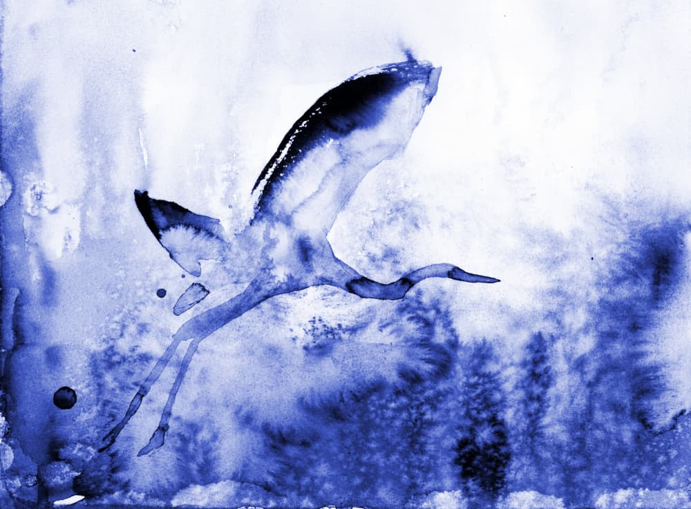 Graceful Blue Heron by RodMacIver — canvas wall art