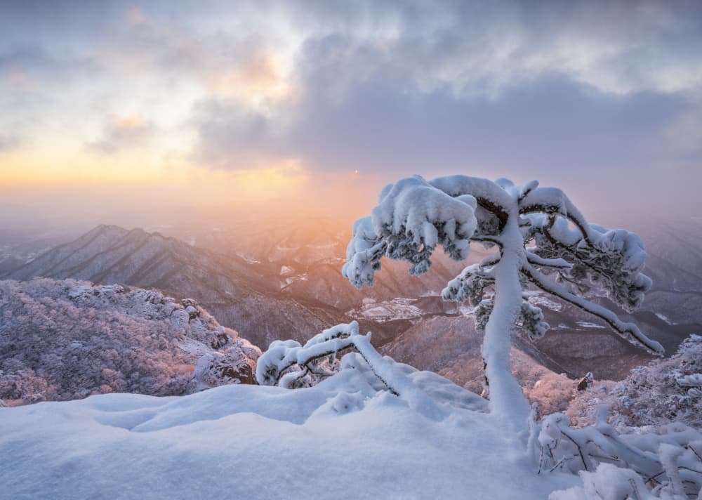Snowy Mountain Glow by Jaeyoun Ryu — canvas wall art
