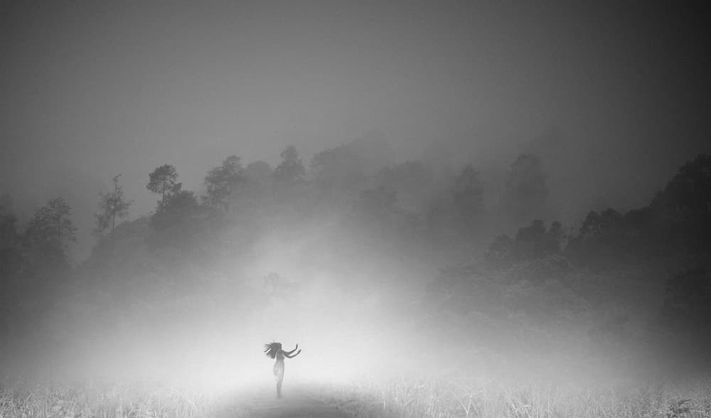 Misty Forest Solitude by Hari Sulistiawan — canvas wall art