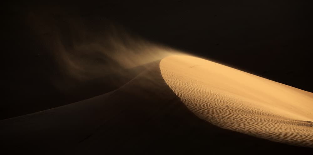 Wind Over Golden Dune by Judith Kuhn — canvas wall art