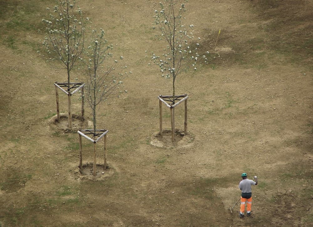 Planting Young Trees by Thierry Dufour — canvas wall art