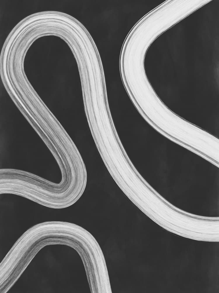 Modern Flowing Lines by Elena Ristova — canvas wall art