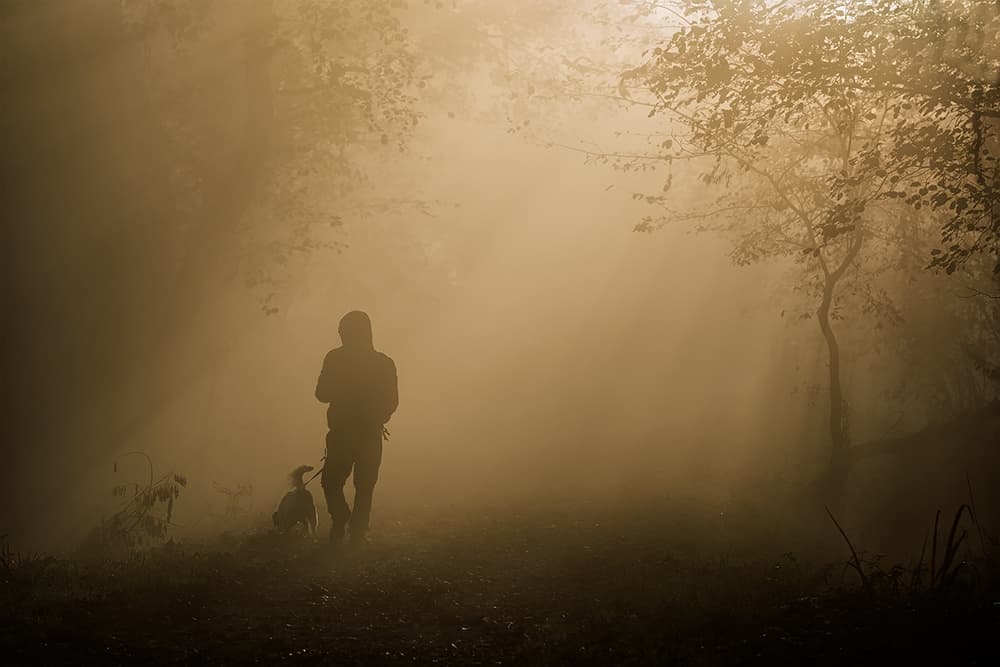 Misty Morning Dog Walk by Roberto Marini — canvas wall art