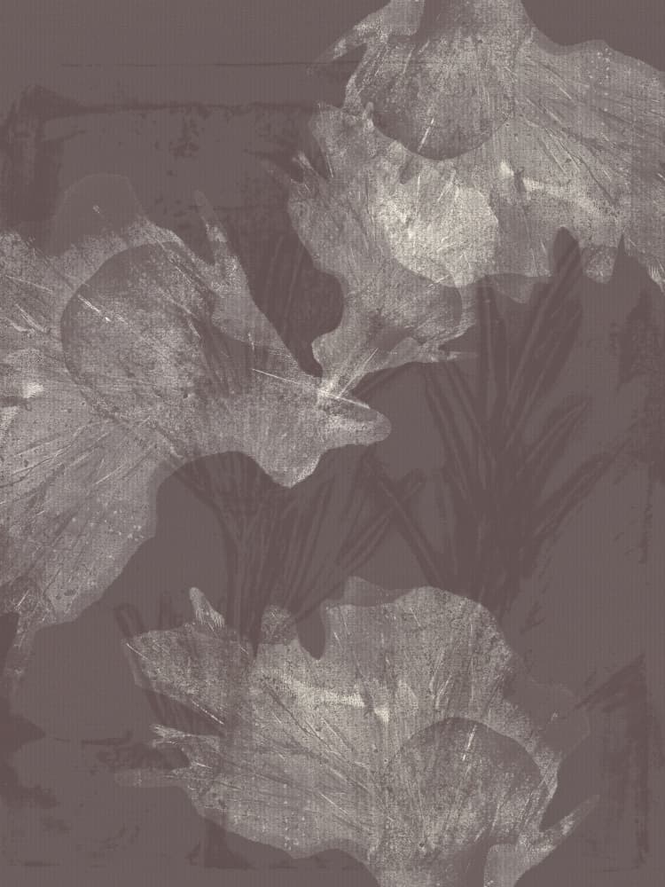 Muted Botanical Layers by Dina Dankers — canvas wall art