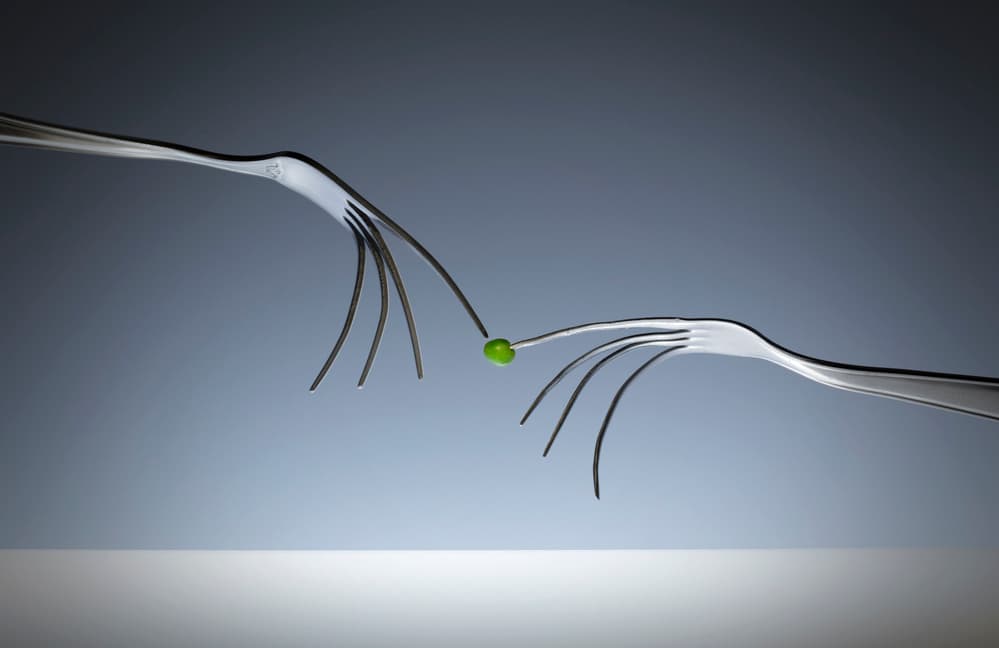 Forks and Pea Connection by Wieteke de Kogel — canvas wall art