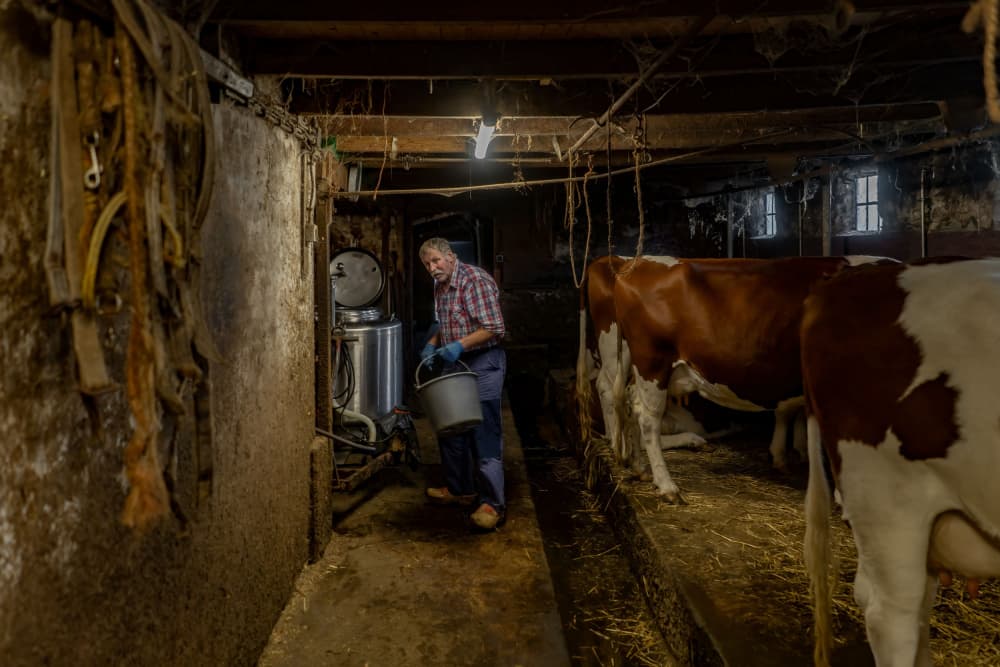 Dairy Farmer At Work by Gert van den Bosch — canvas wall art