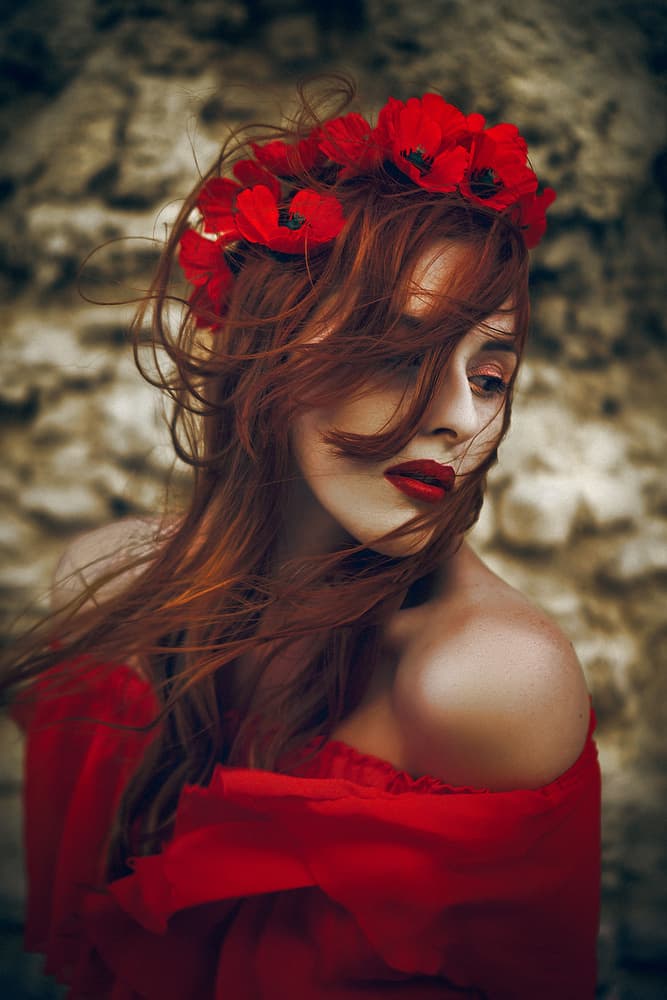 Red Poppy Reverie by Ruslan Bolgov — canvas wall art