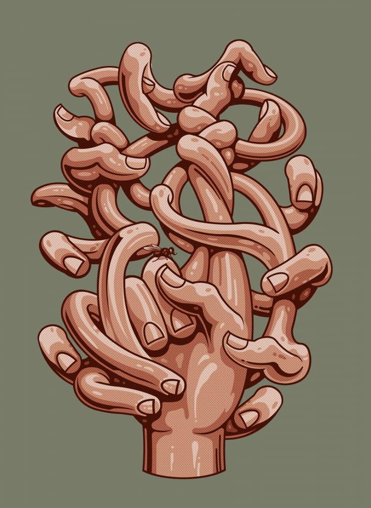 Tangled Hand with Ant by Adam Lawless — canvas wall art
