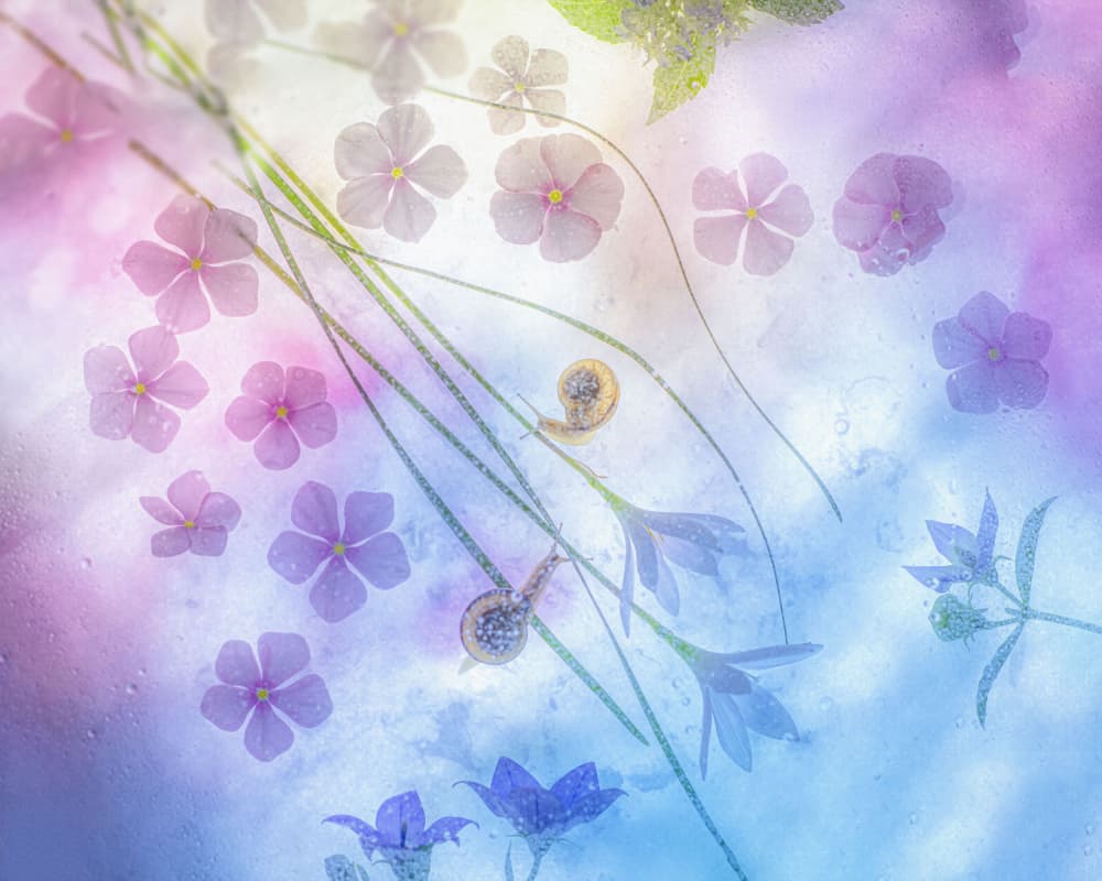 Floating Floral Dream by Miharu † — canvas wall art