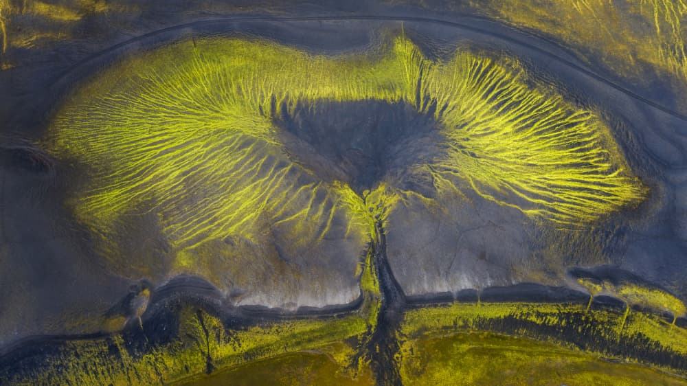 Vibrant Green Earth Patterns by Willa Wei — canvas wall art