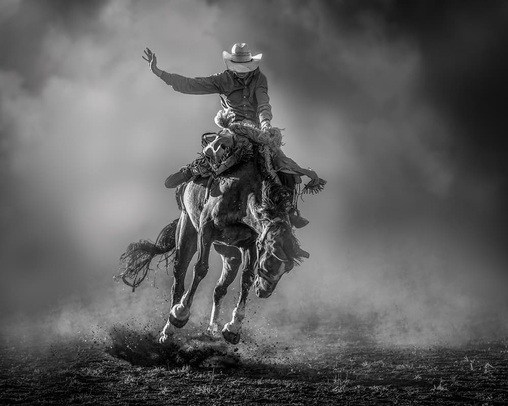 Wild Bucking Cowboy by Frank Ma — canvas wall art