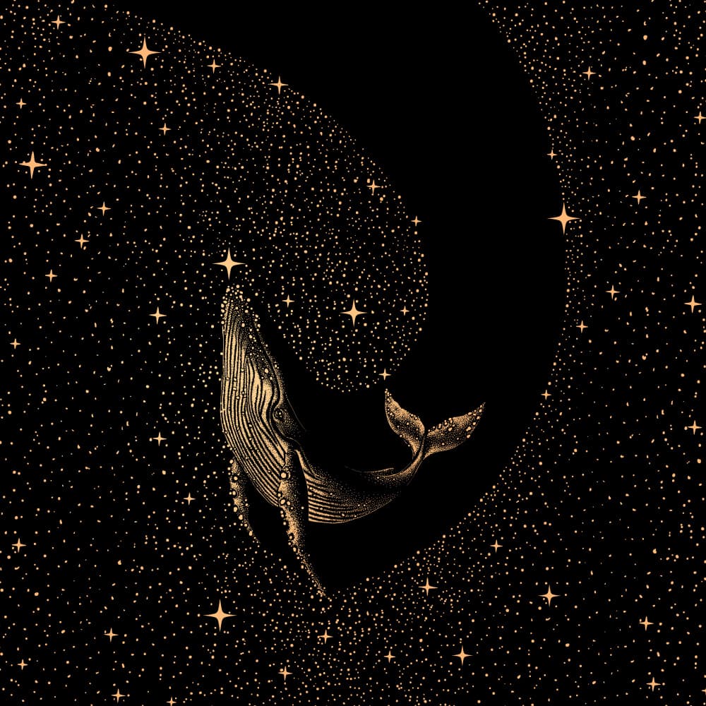 Whale Among Stars by Alirıza ÇAKIR — canvas wall art