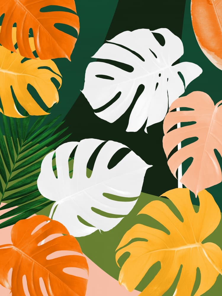 Colorful Monstera Leaves by Vitor Costa — canvas wall art