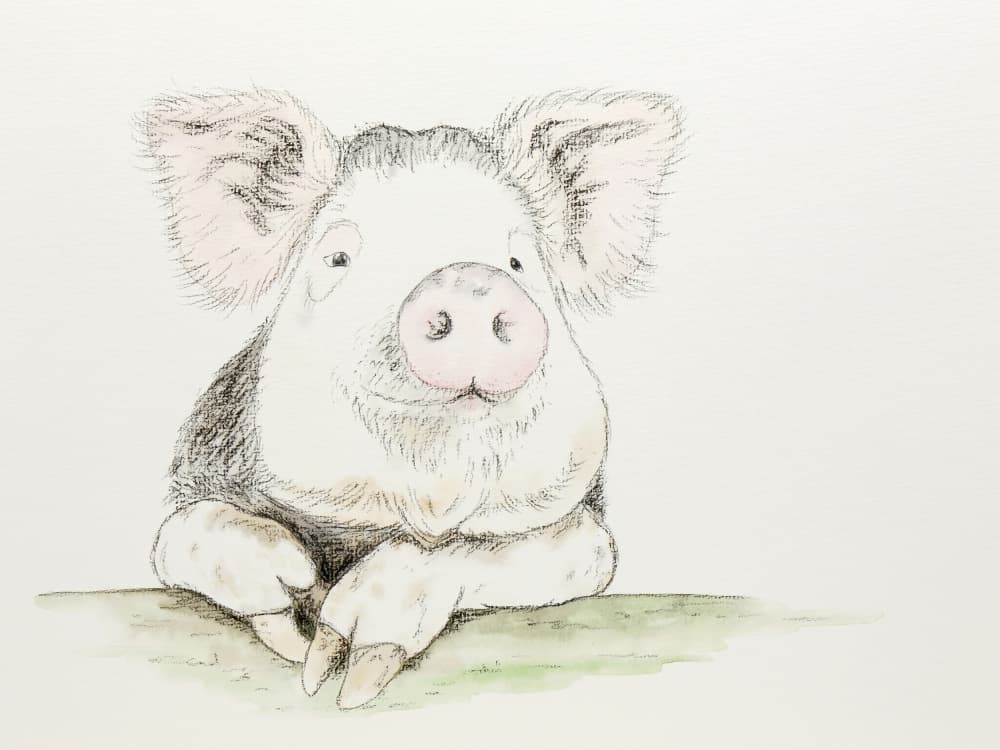 Cute Watercolor Pig by Natalie Bruns — canvas wall art