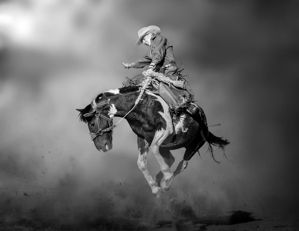 Rodeo Cowboy Bucking Horse by Irene Wu — canvas wall art