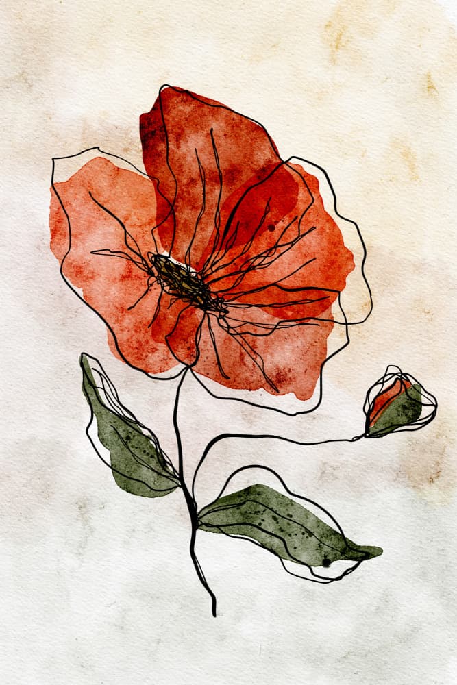 Red Watercolor Poppy by Ankie Kooi — canvas wall art