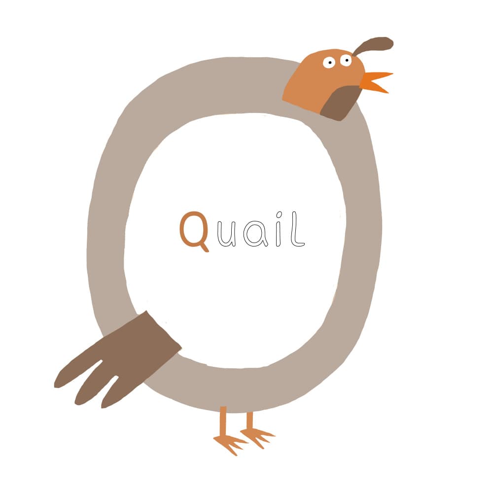 Quail Letter Q by Carla Daly — canvas wall art