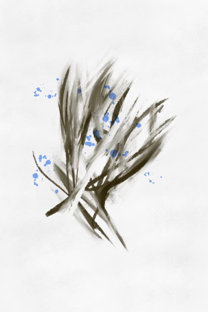 Ethereal Blue Botanicals by Simona Gocan — canvas wall art