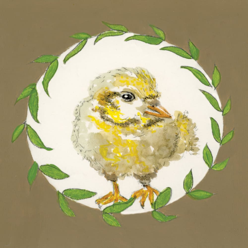 Cute Baby Chick Wreath by Breanna Megan Studio — canvas wall art
