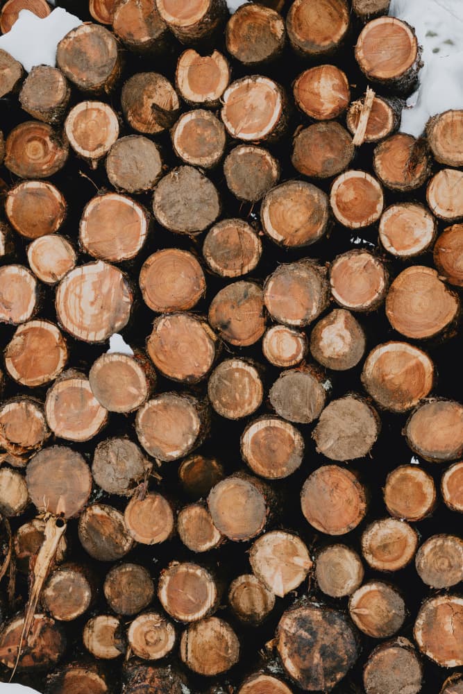 Rustic Wood Stack by Javier Pardina — canvas wall art