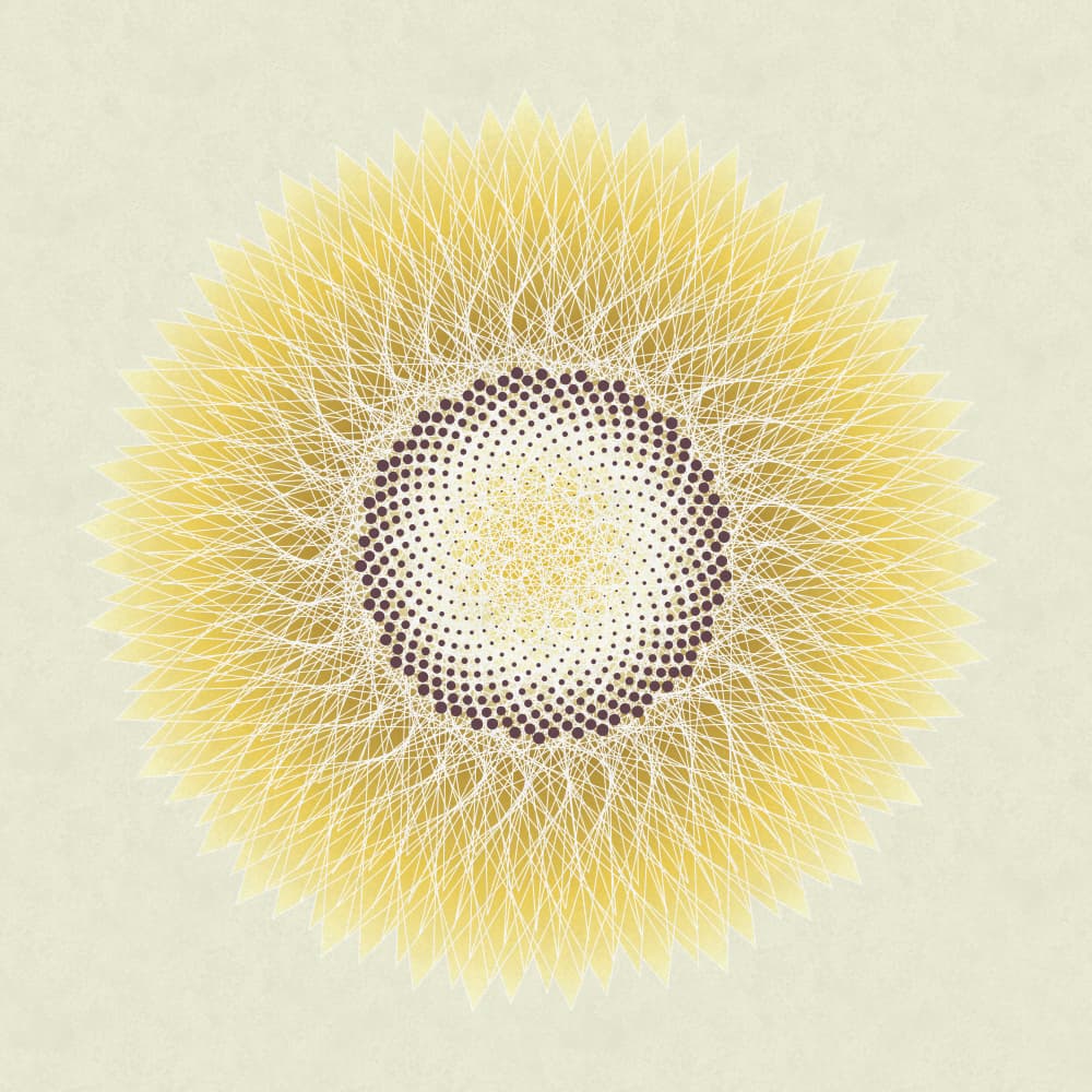 Golden Sunflower Spiral by Angelo Cerantola — canvas wall art