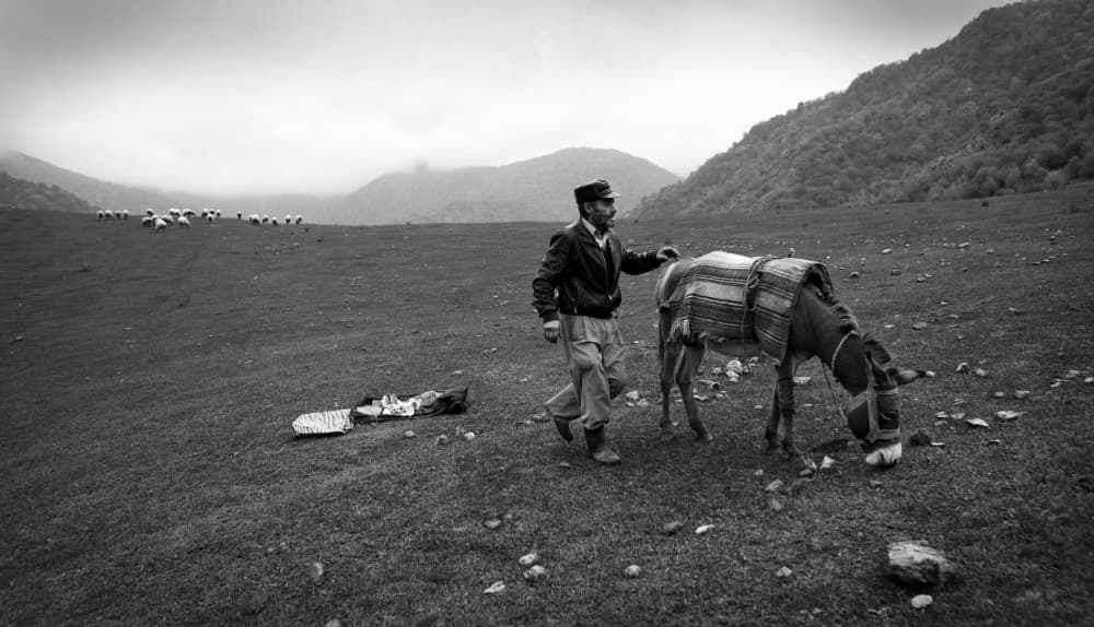 Man Donkey Mountain Journey by Garik — canvas wall art