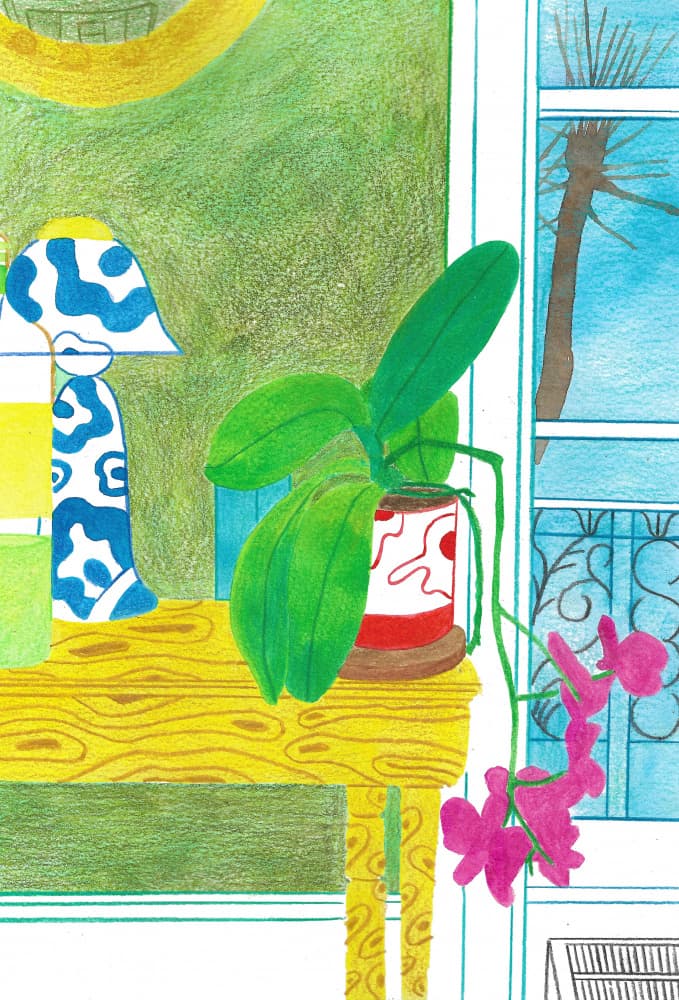 Vibrant Indoor Orchid by Zhigang Zhang — canvas wall art