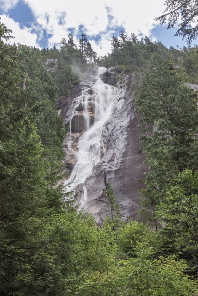 Forest Waterfall Cascade by Lynann Colligan — canvas wall art