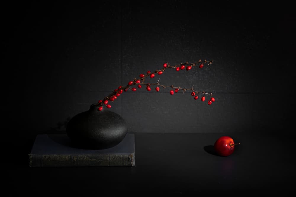 Red Berries Black Vase Still Life by Dennis Zhang — canvas wall art