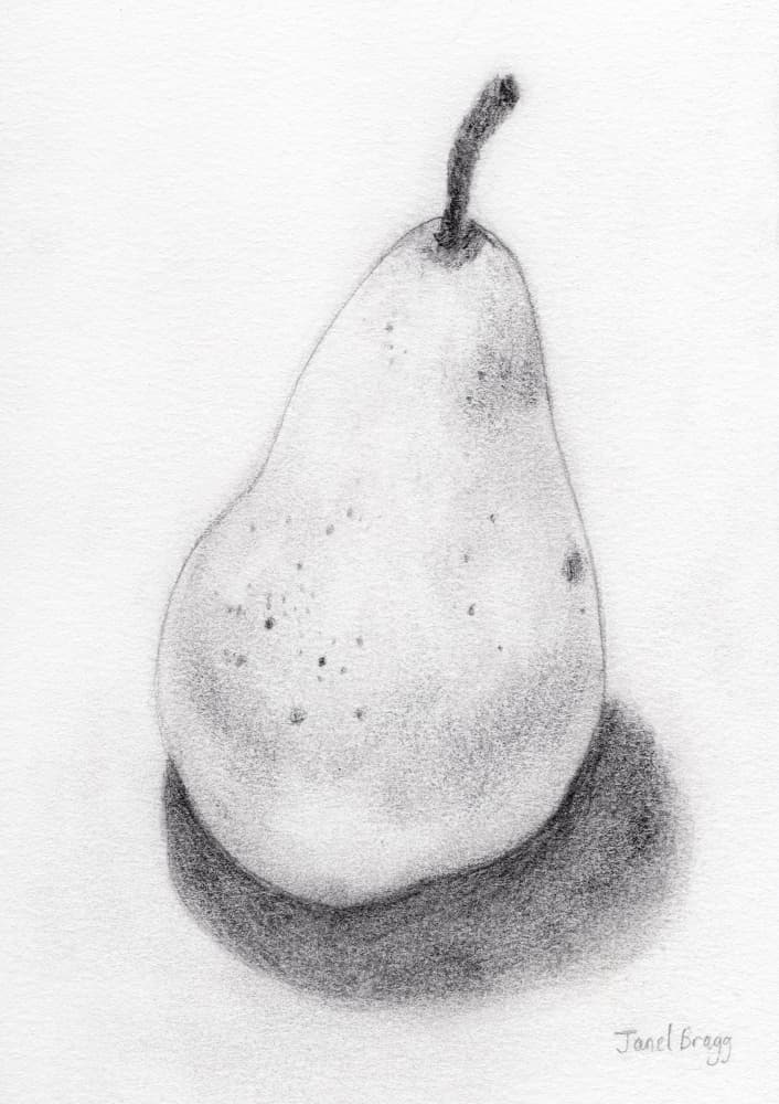 Pencil Pear Still Life by Janel Bragg — canvas wall art