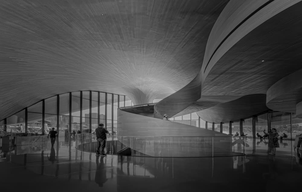 Grand Modern Interior Curves by Molly Fu APA — canvas wall art