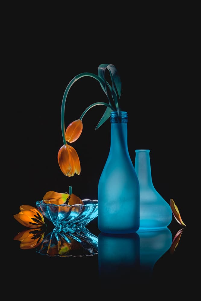 Wilting Tulips Still Life by Lydia Jacobs — canvas wall art