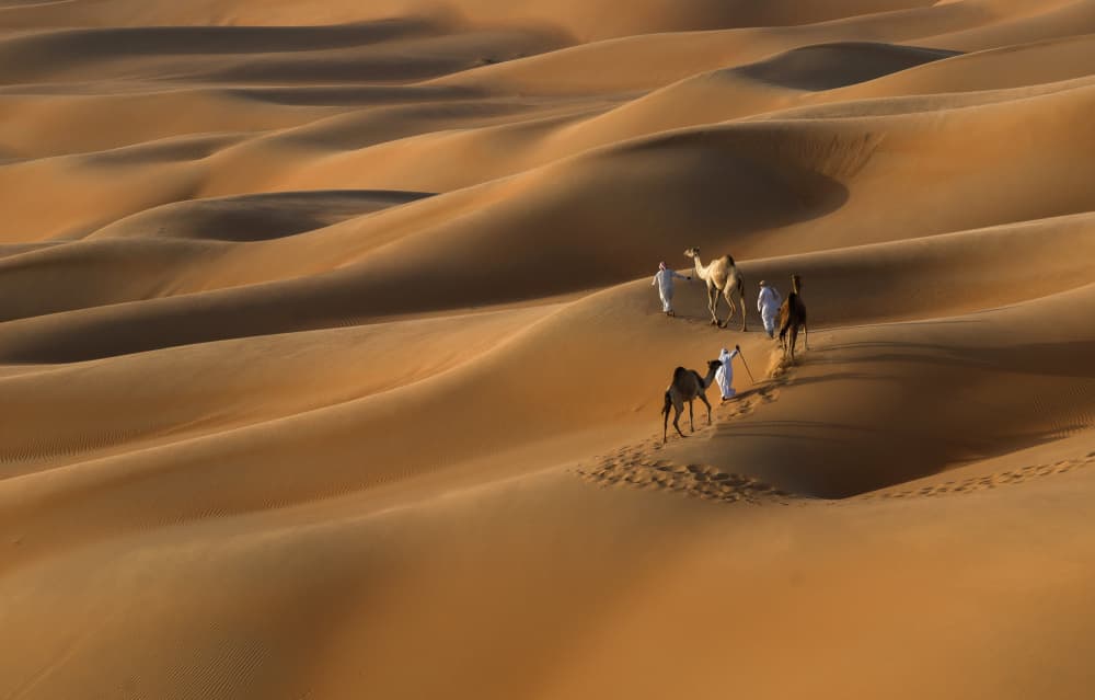 Desert Camel Journey by Karim Al Thahaby — canvas wall art