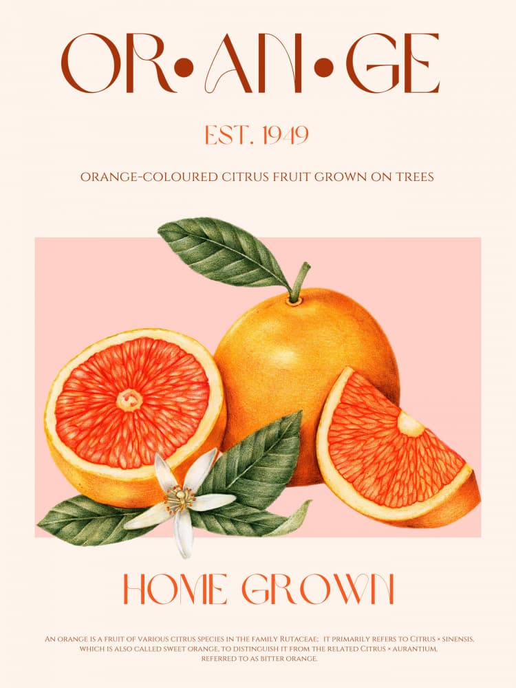 Home Grown Orange Citrus by Nazma Khokhar — canvas wall art
