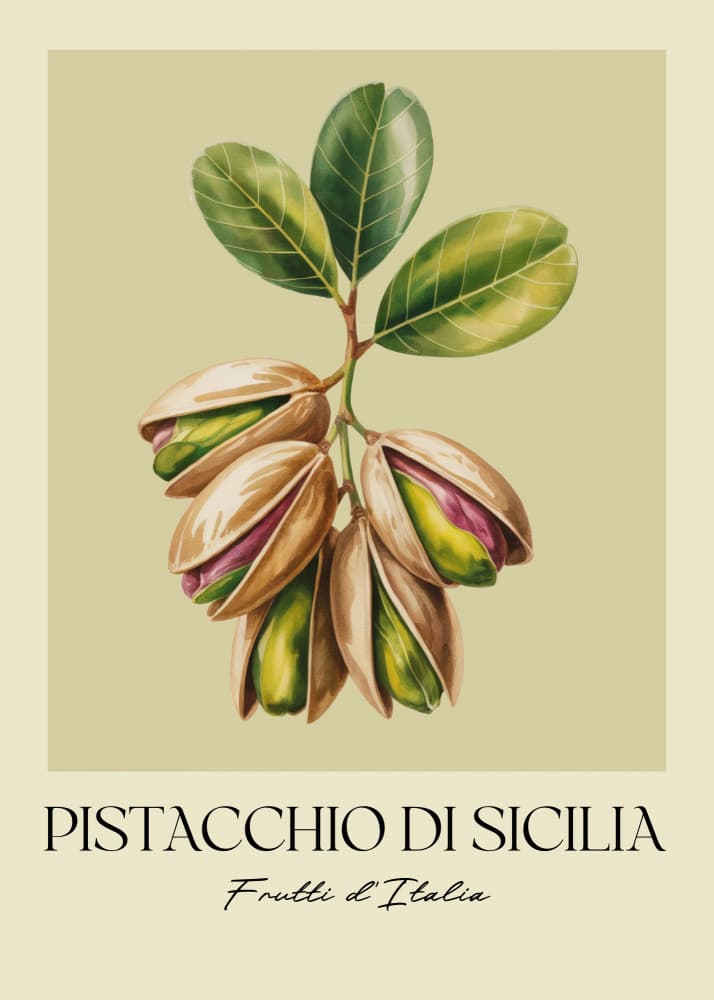 Pistachios of Sicily by Andreas Magnusson — canvas wall art
